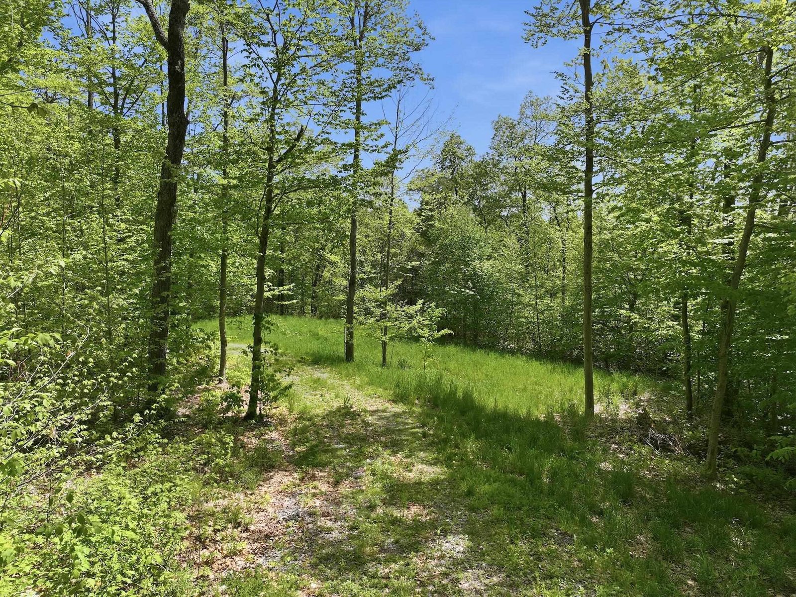 189 Shagbark Lane
