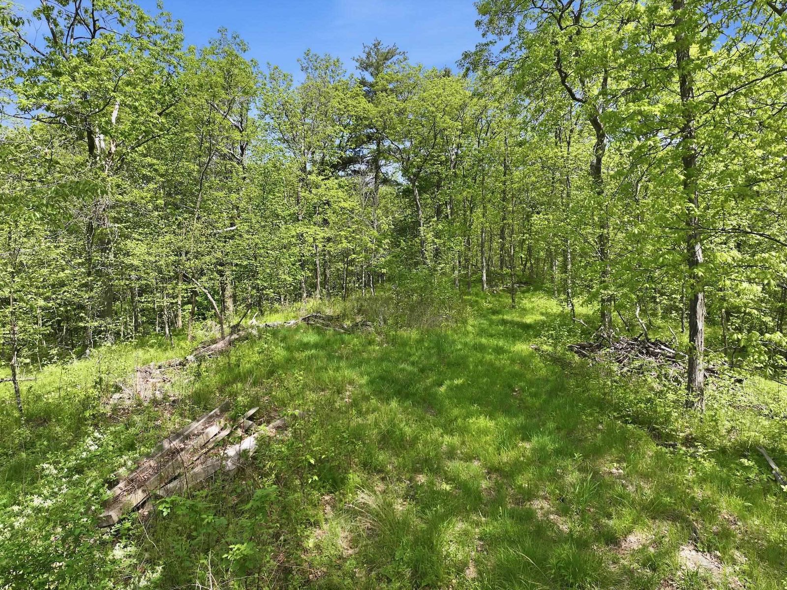 189 Shagbark Lane