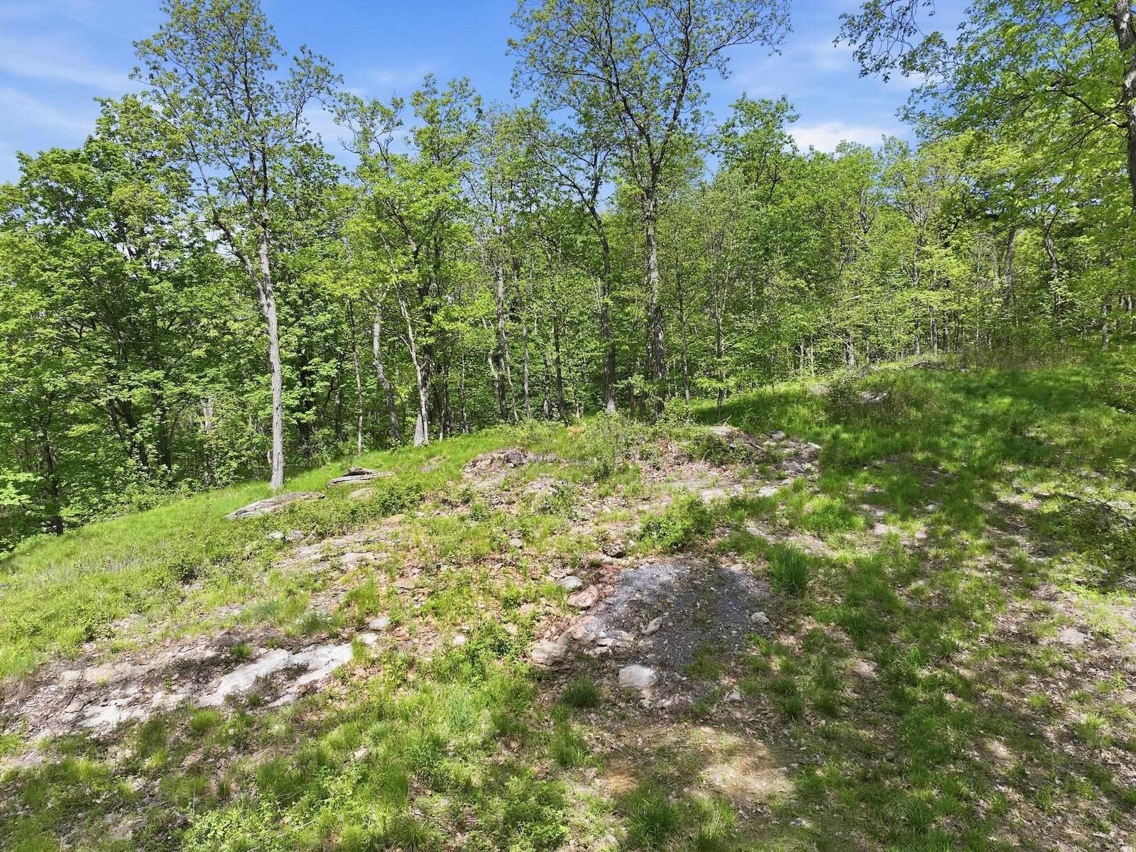 189 Shagbark Lane