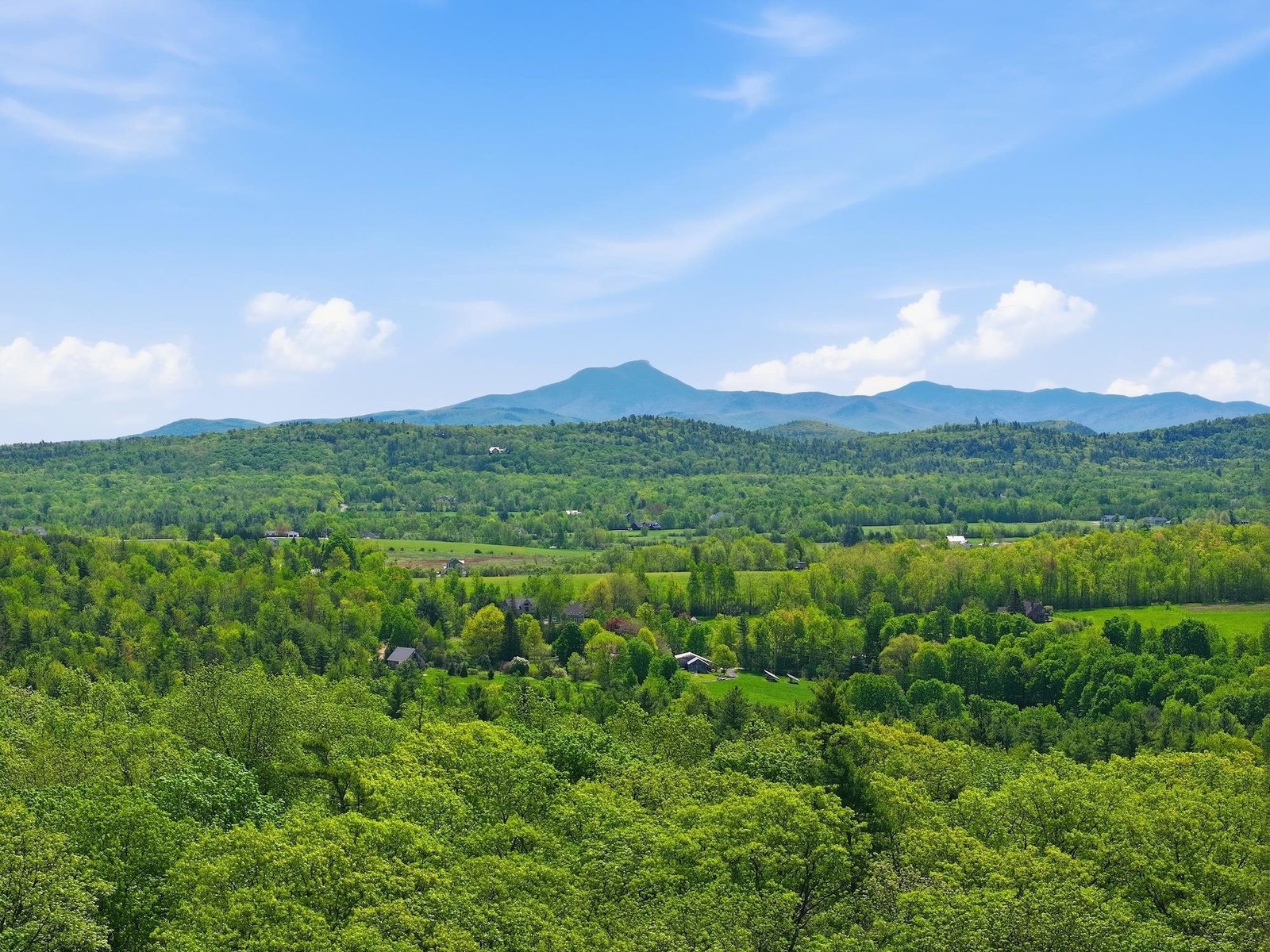 Drone photo