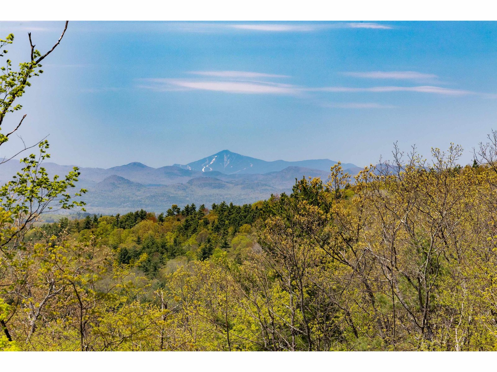 Drone phot slightly at tree line for second level of a house
