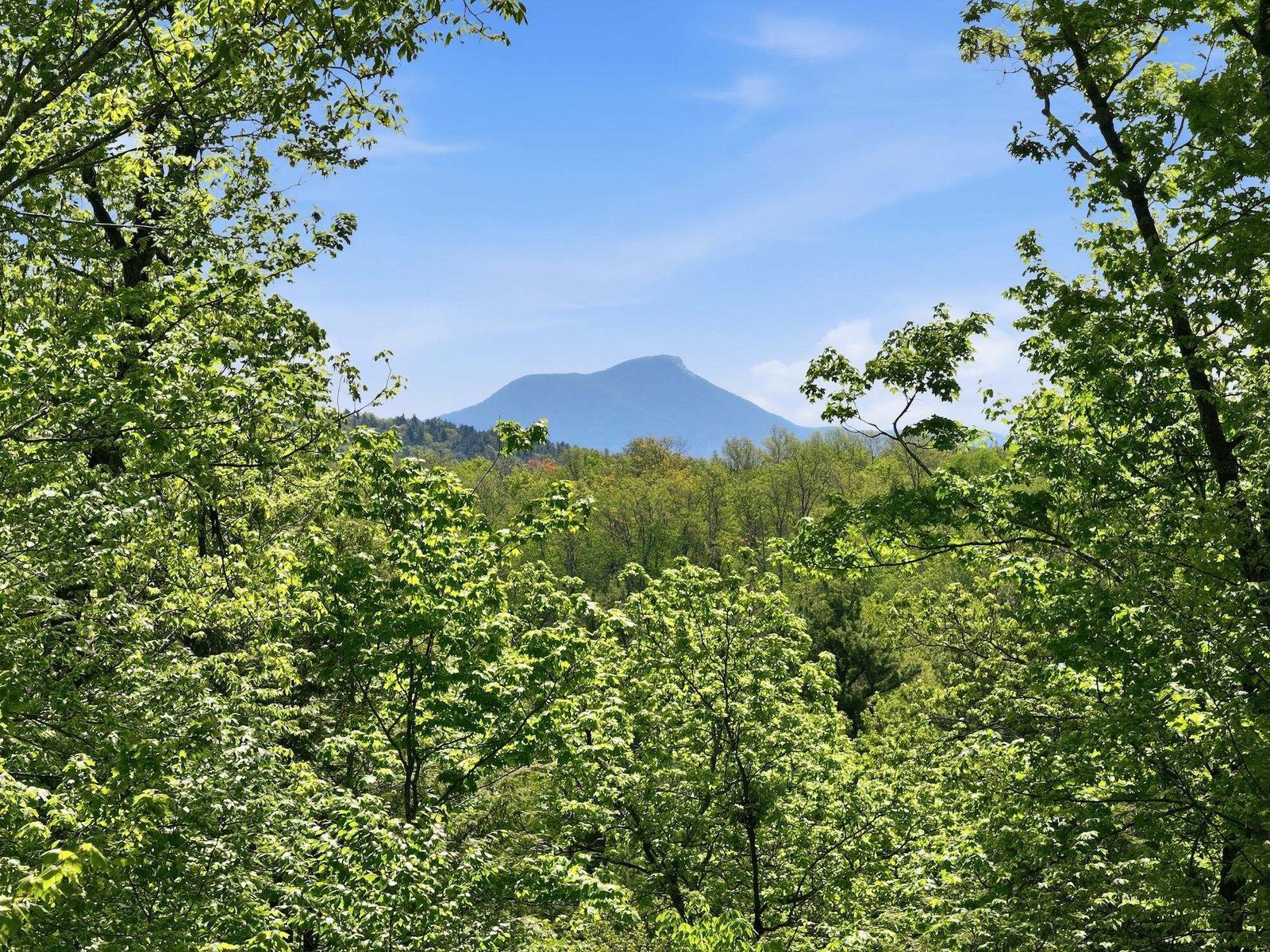 Distinct views east from high build site
