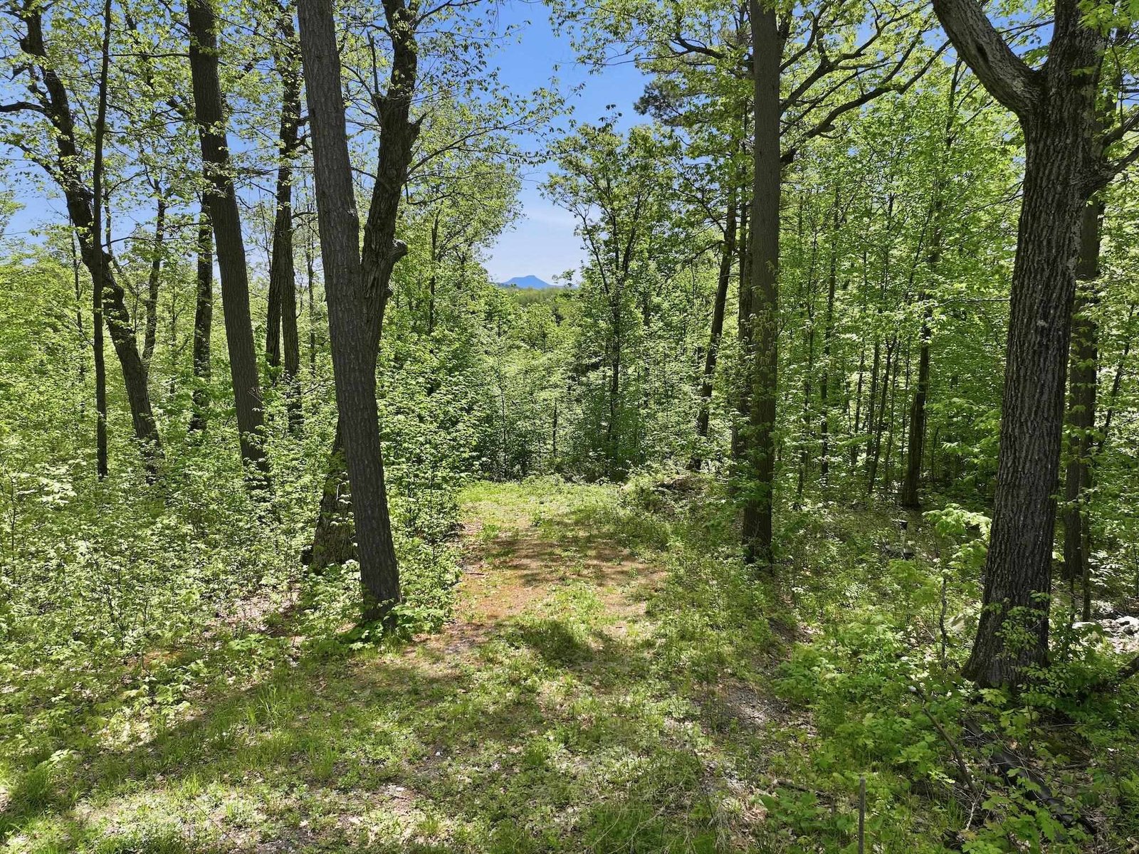 189 Shagbark Lane
