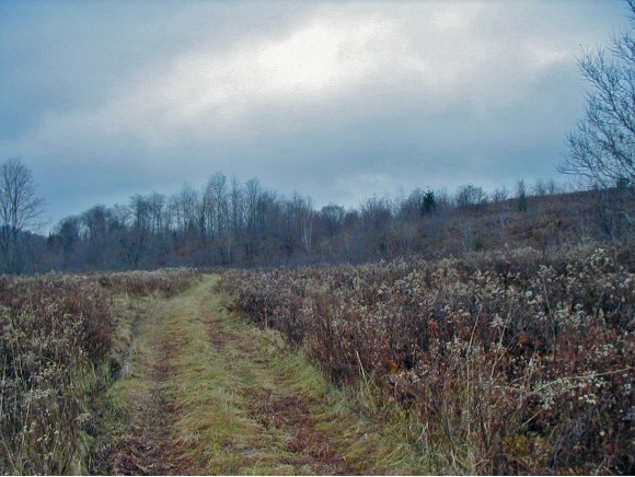 19 Mary Deuso Farm Road