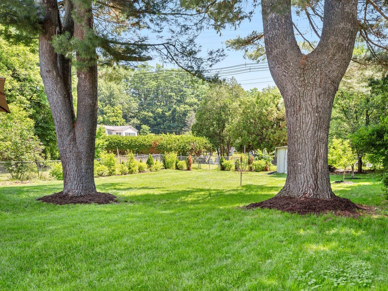 Mature trees, space to garden