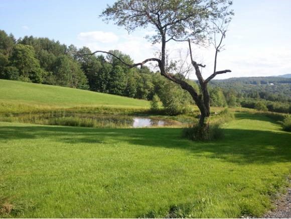 190 Leap Frog Hollow