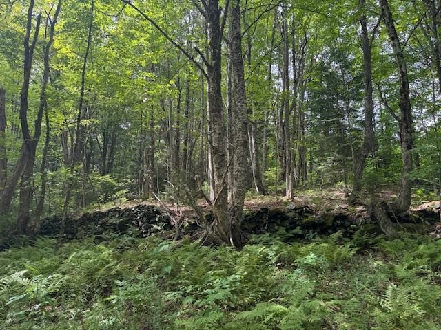 Stone walls along Upper Edsall Road
