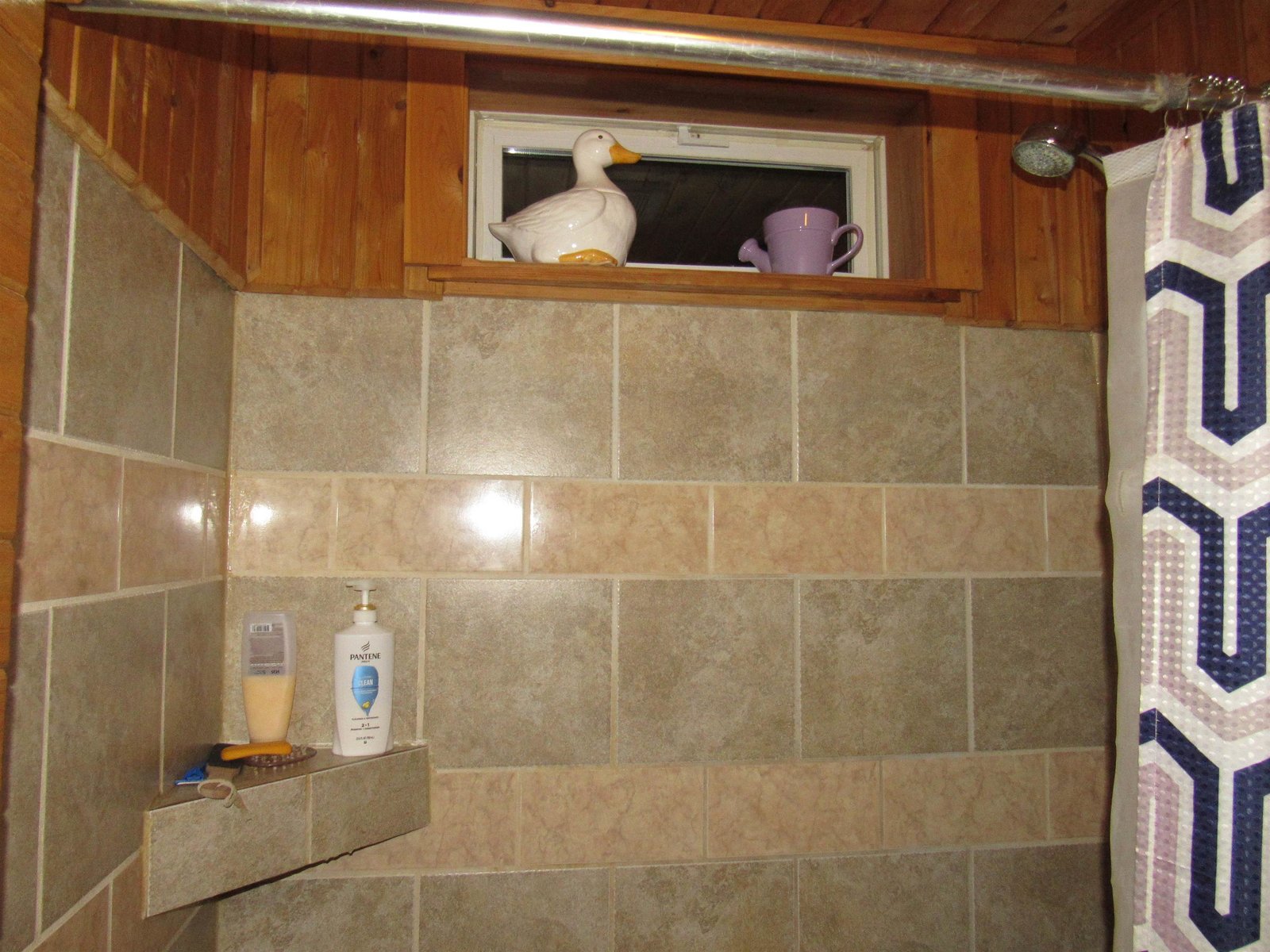 Walk in Shower