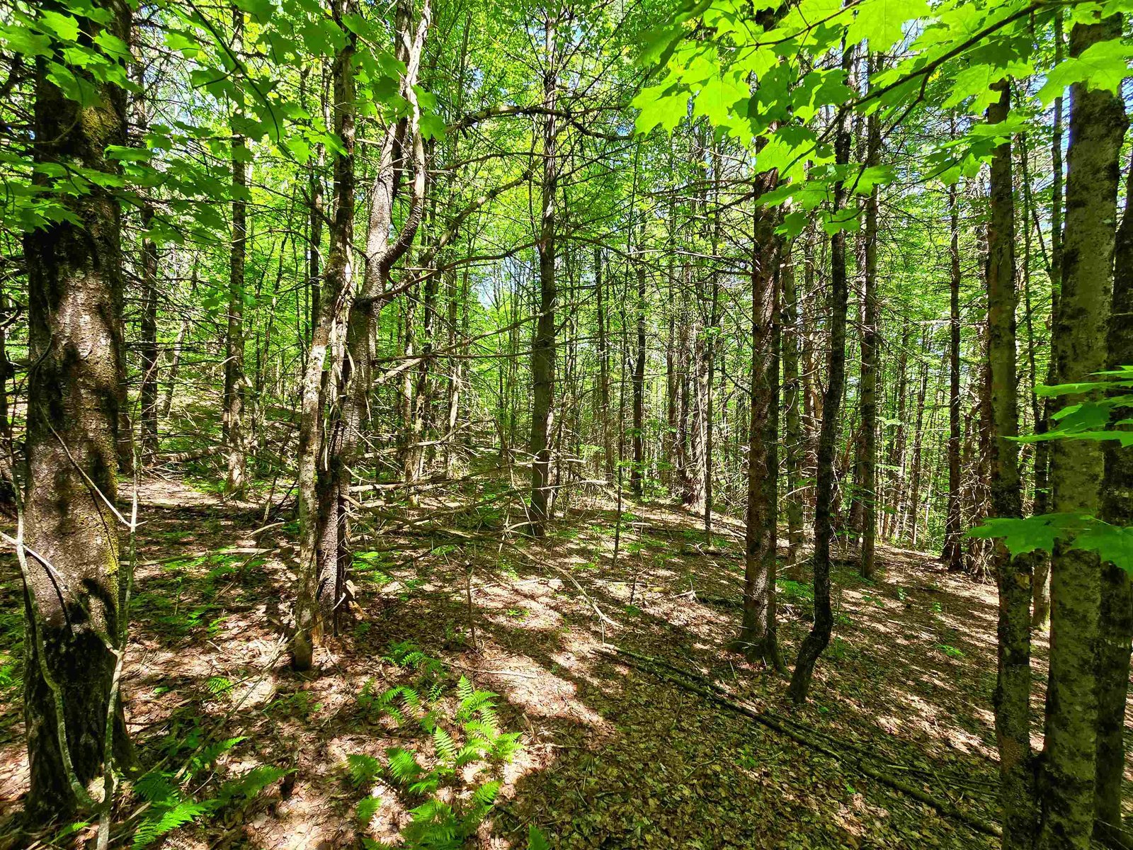 1905 Camp Munn Road