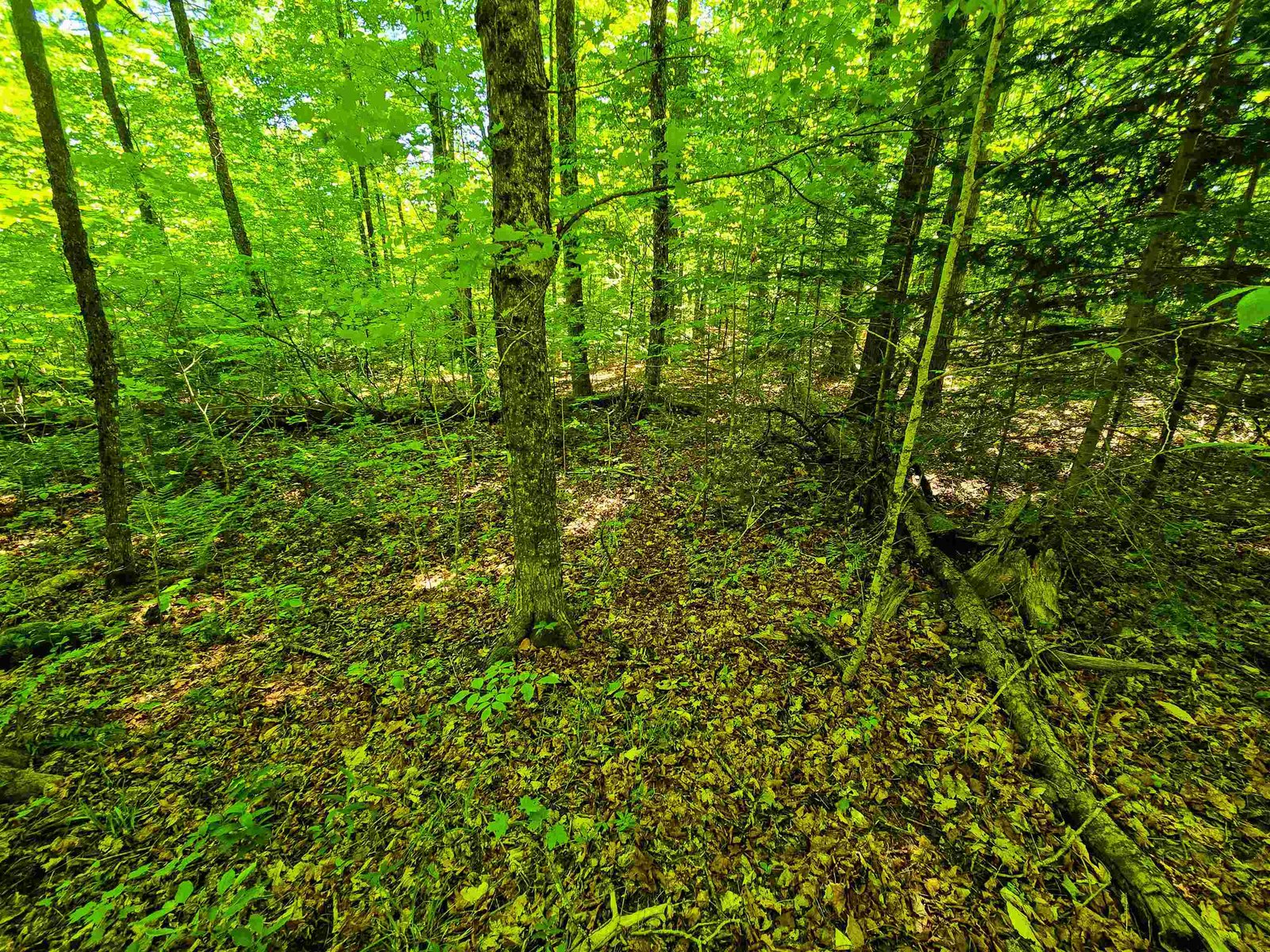 1905 Camp Munn Road