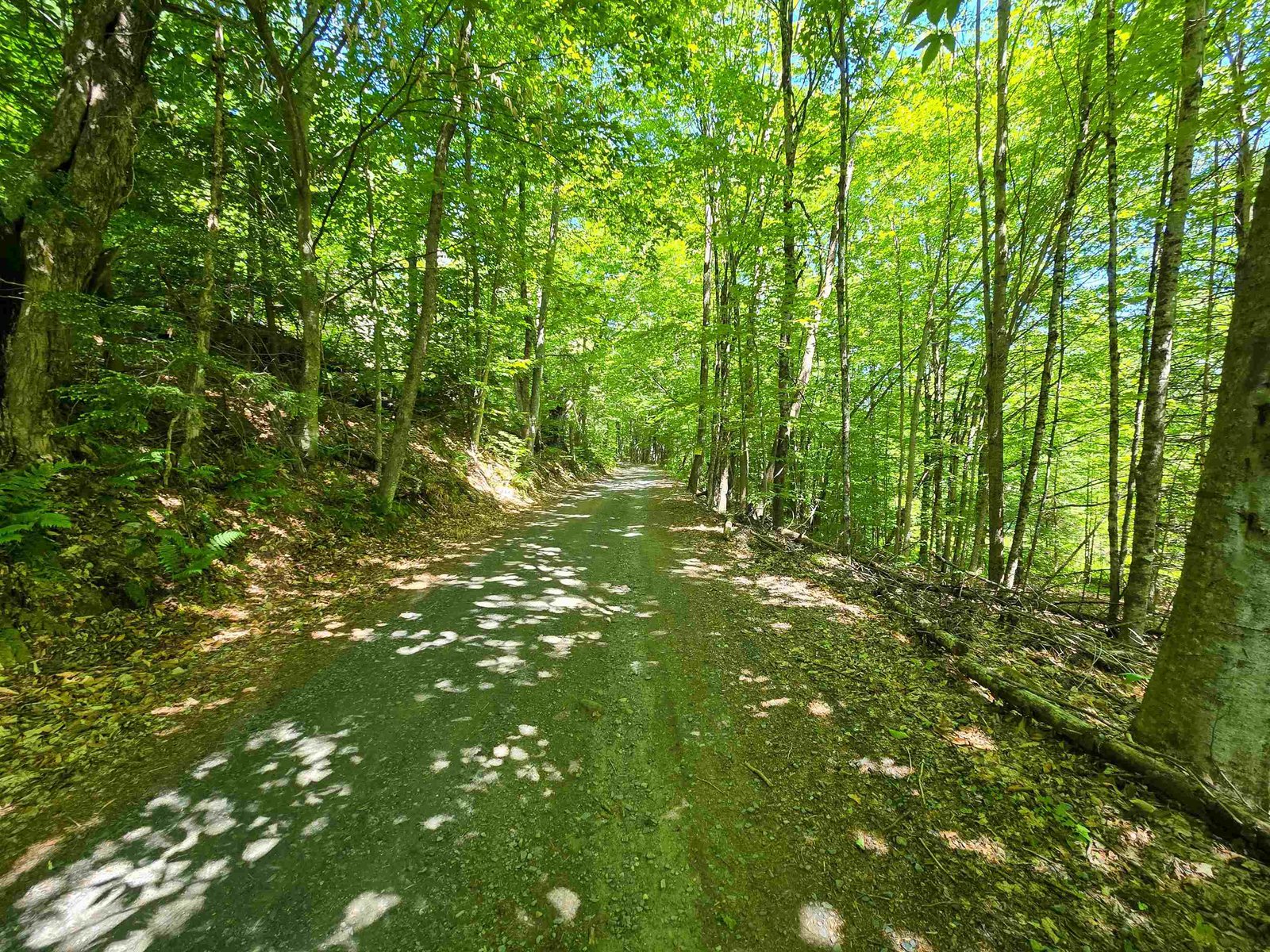 1905 Camp Munn Road