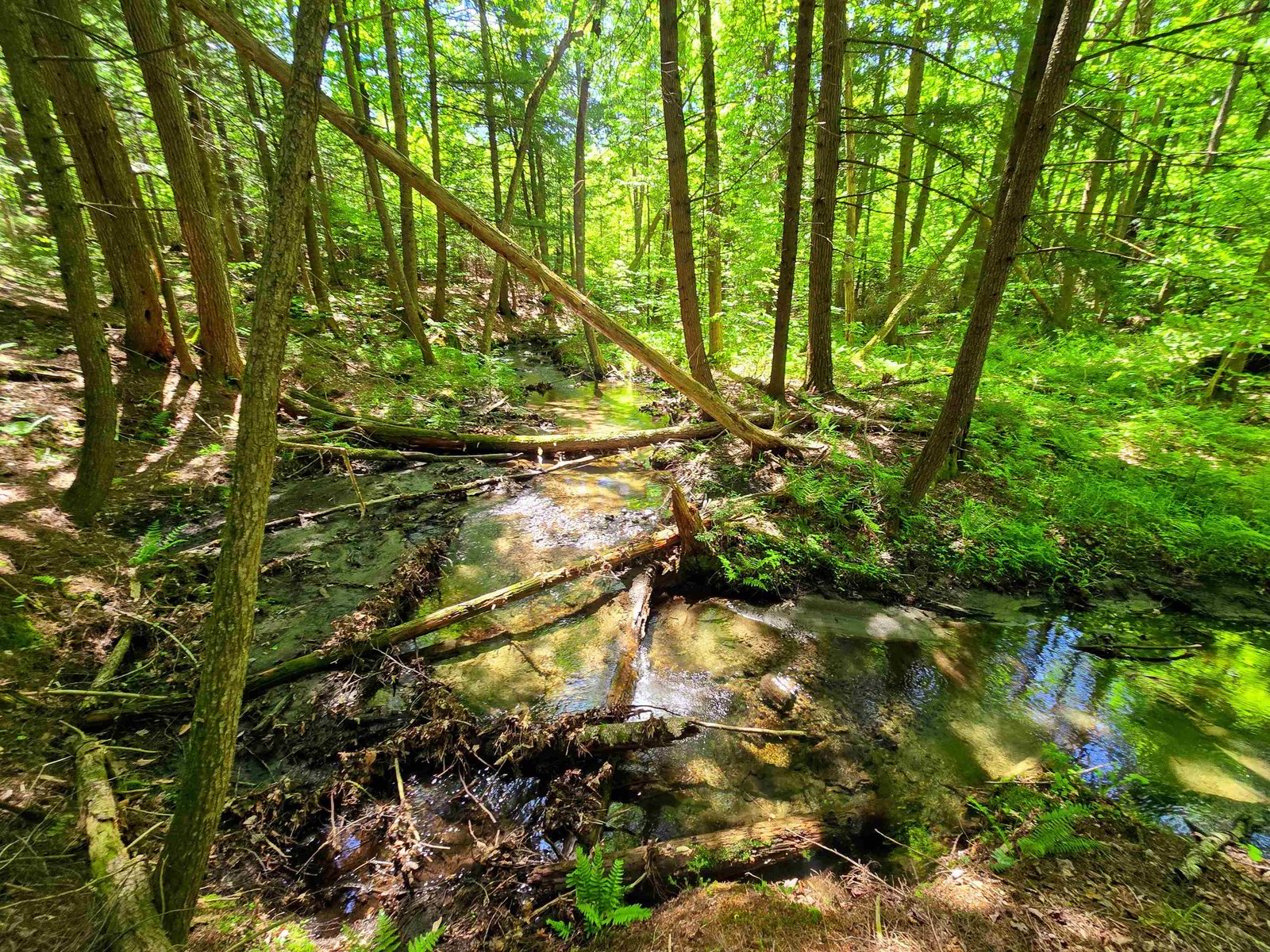 1905 Camp Munn Road