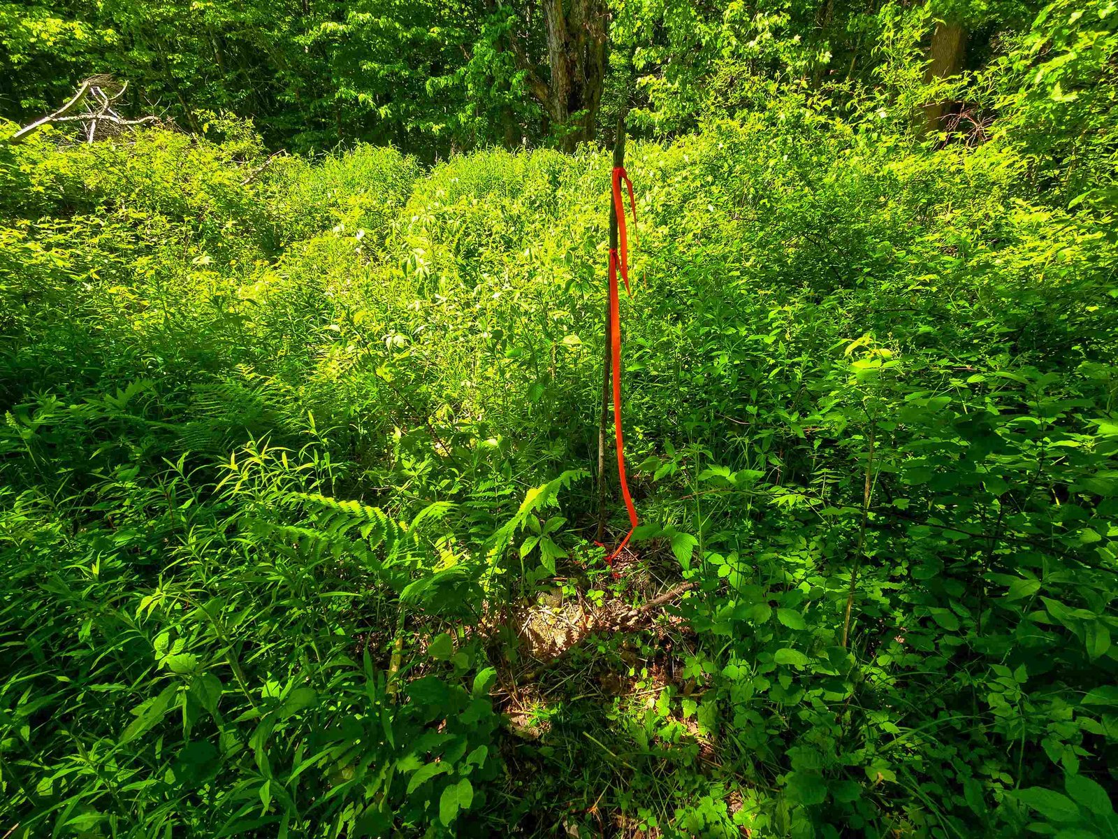 1905 Camp Munn Road