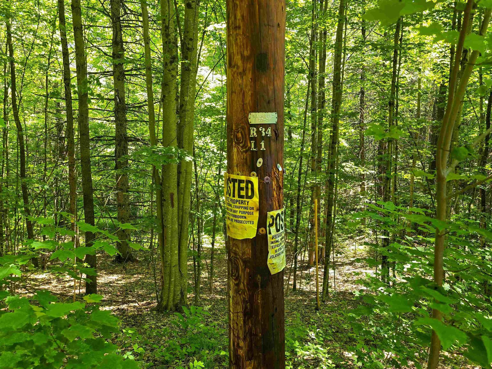 1905 Camp Munn Road