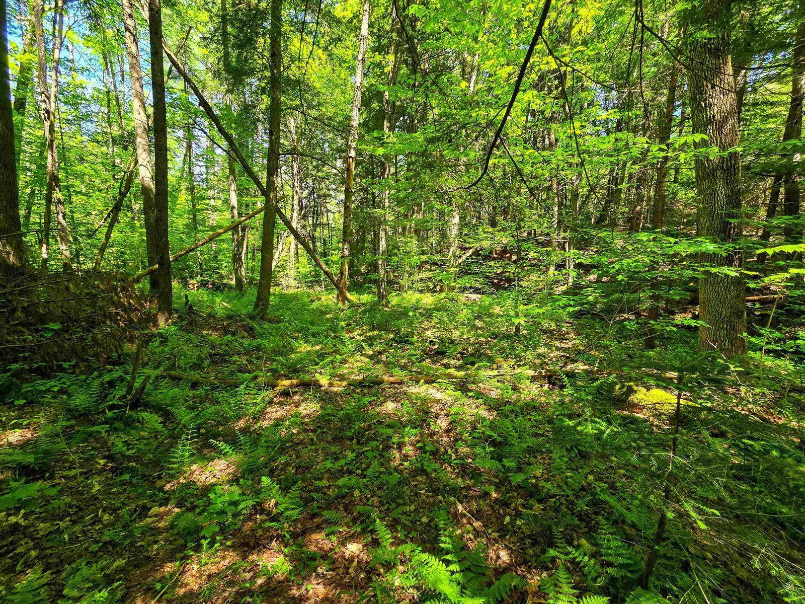 1905 Camp Munn Road