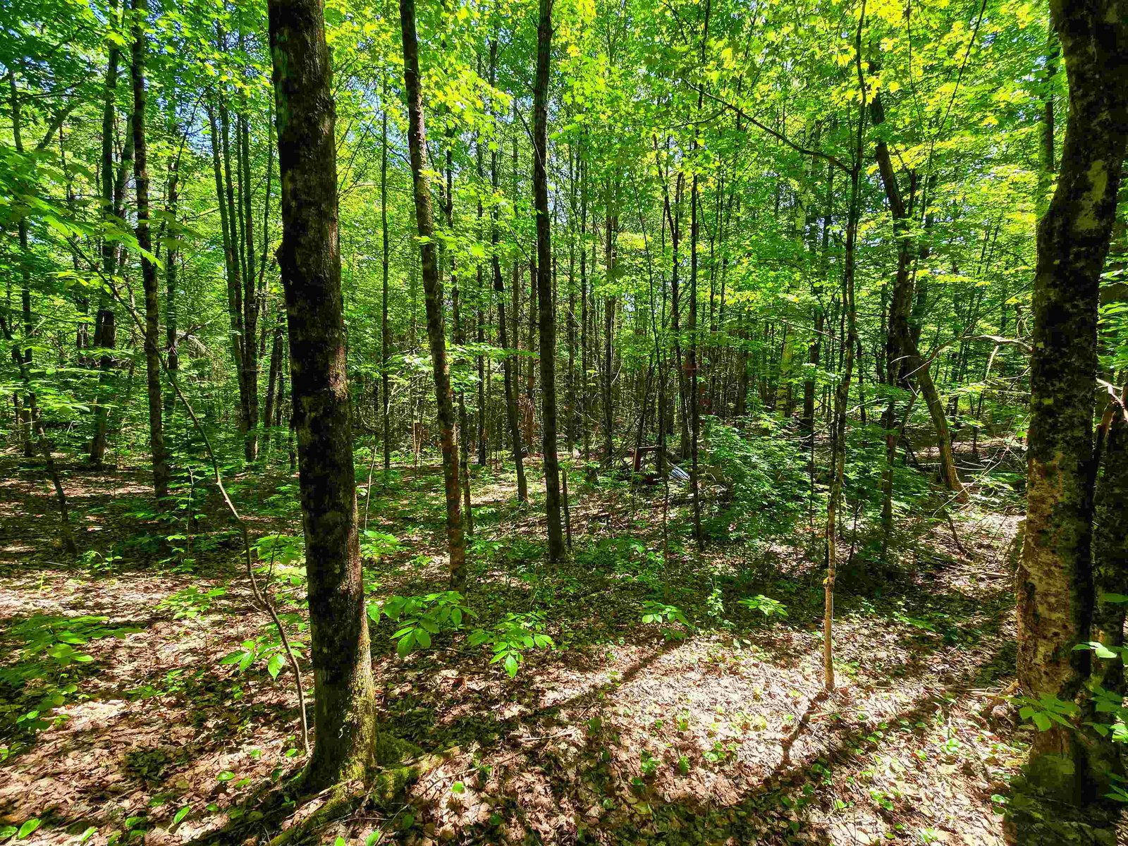 1905 Camp Munn Road