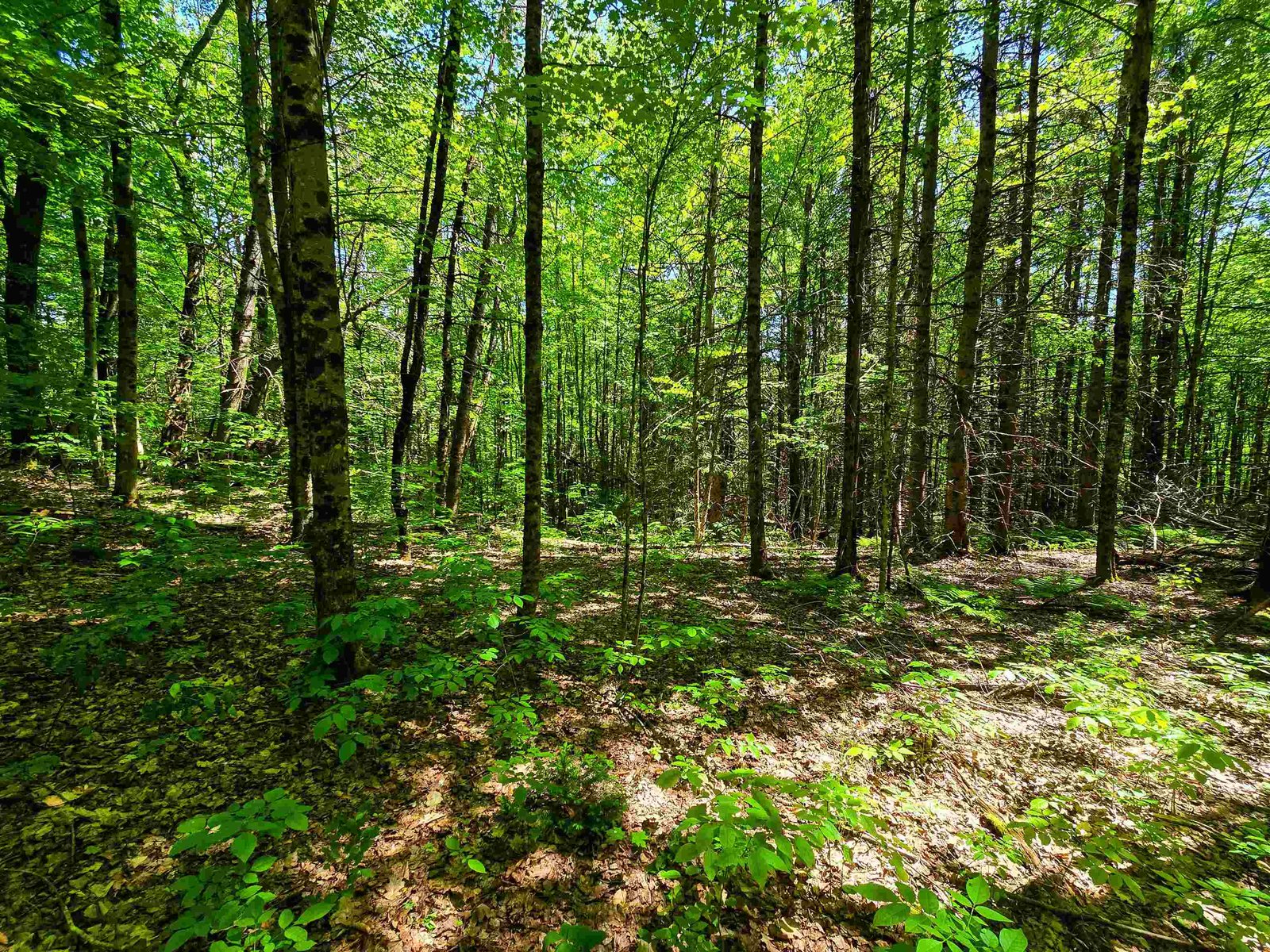 1905 Camp Munn Road