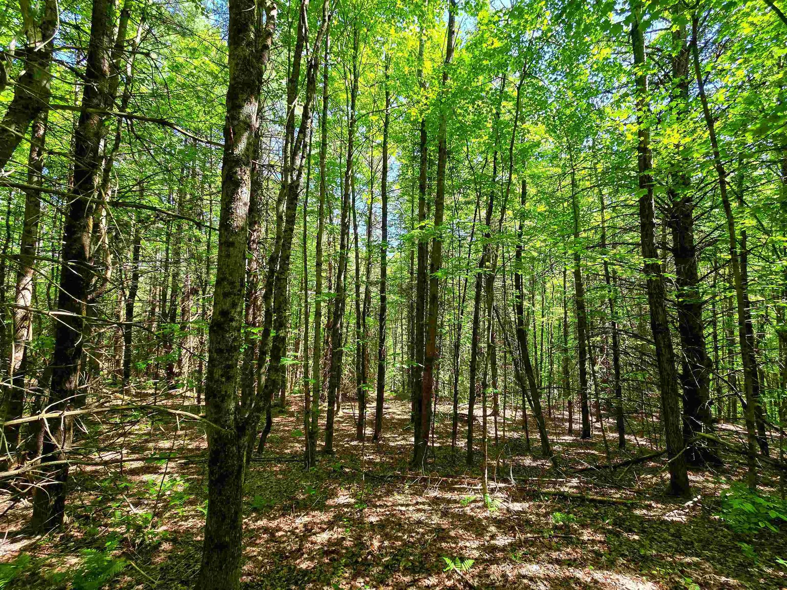 1905 Camp Munn Road
