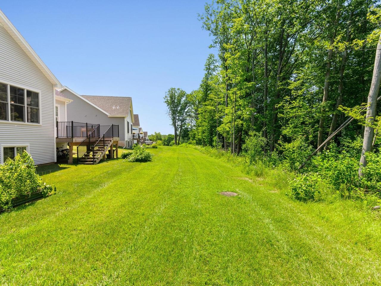 Expansive yard with trees
