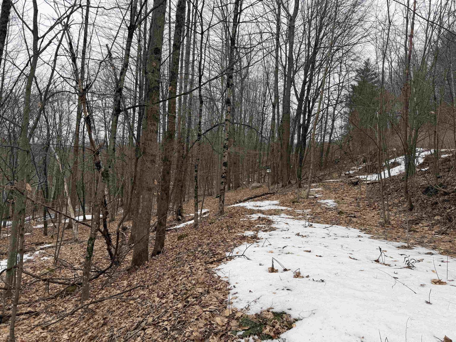 194 Mine Road, Strafford