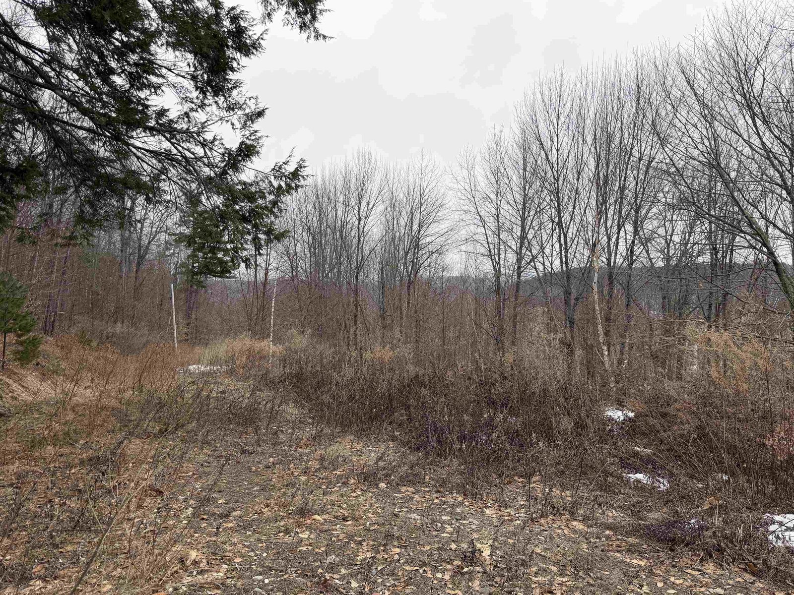 194 Mine Road