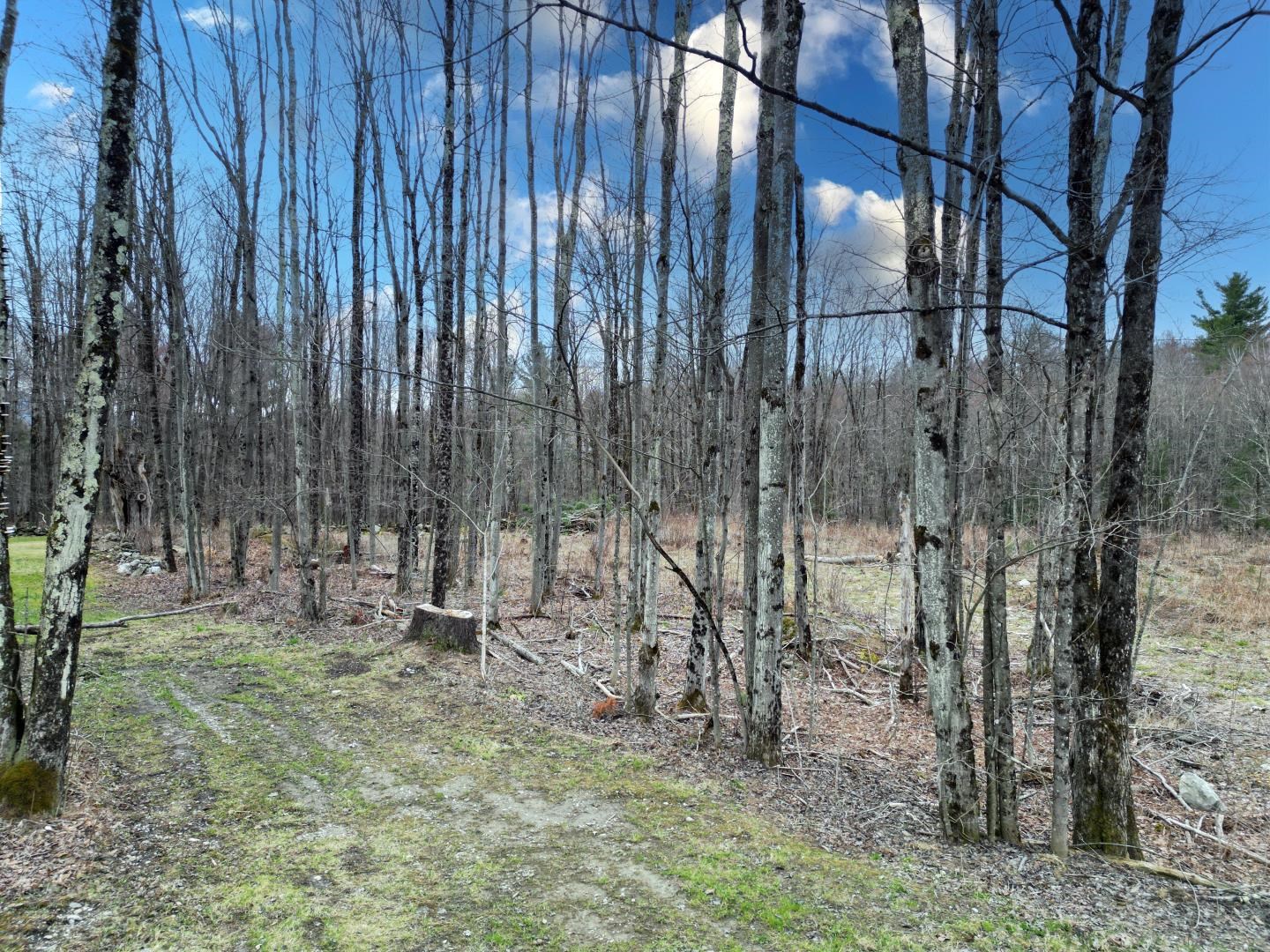 195 Bull Run Road
