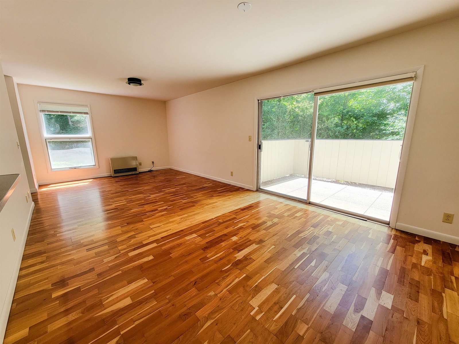 Lots of Natural Light & Entry to Patio
