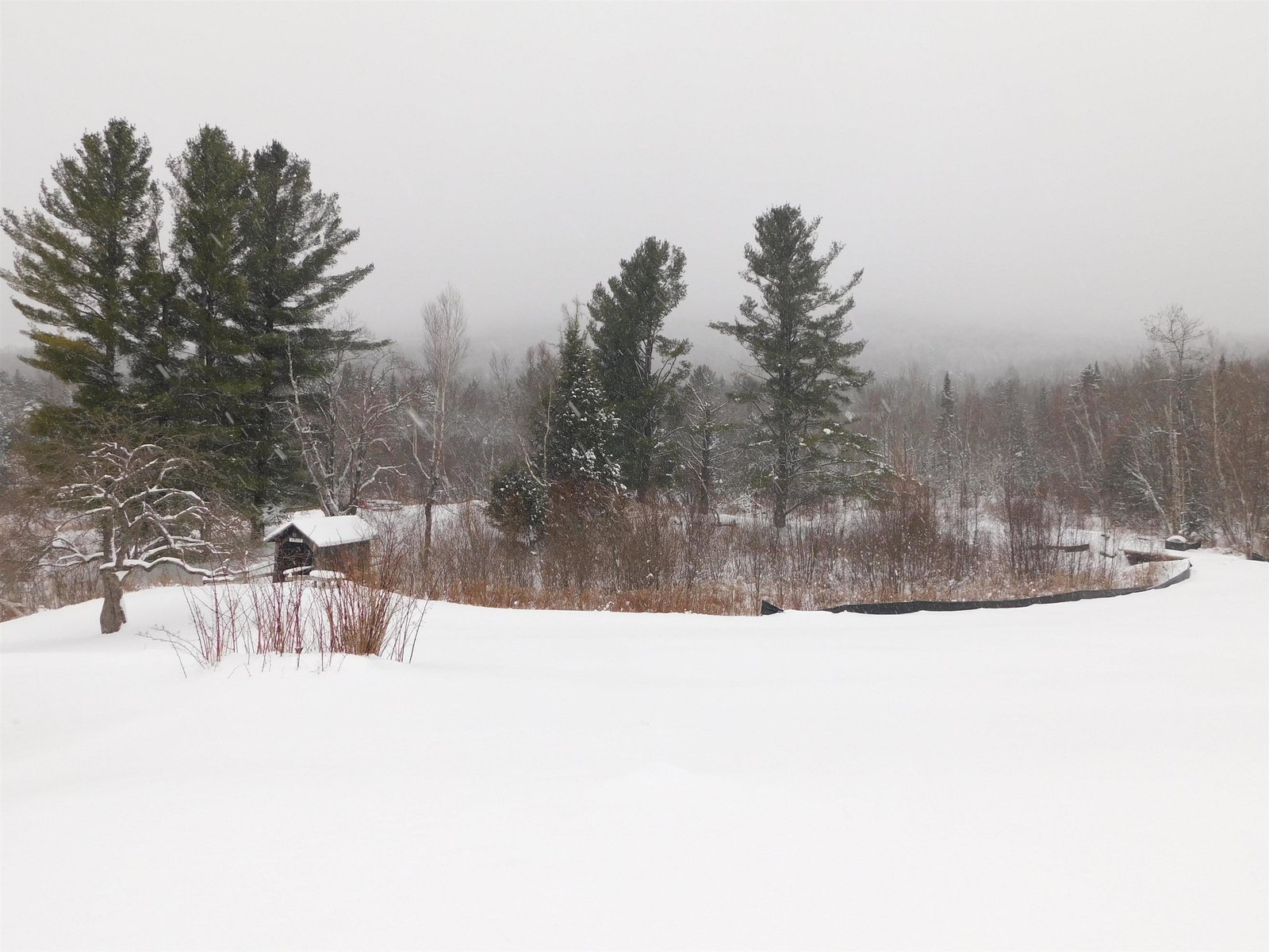 195 VT Route 242