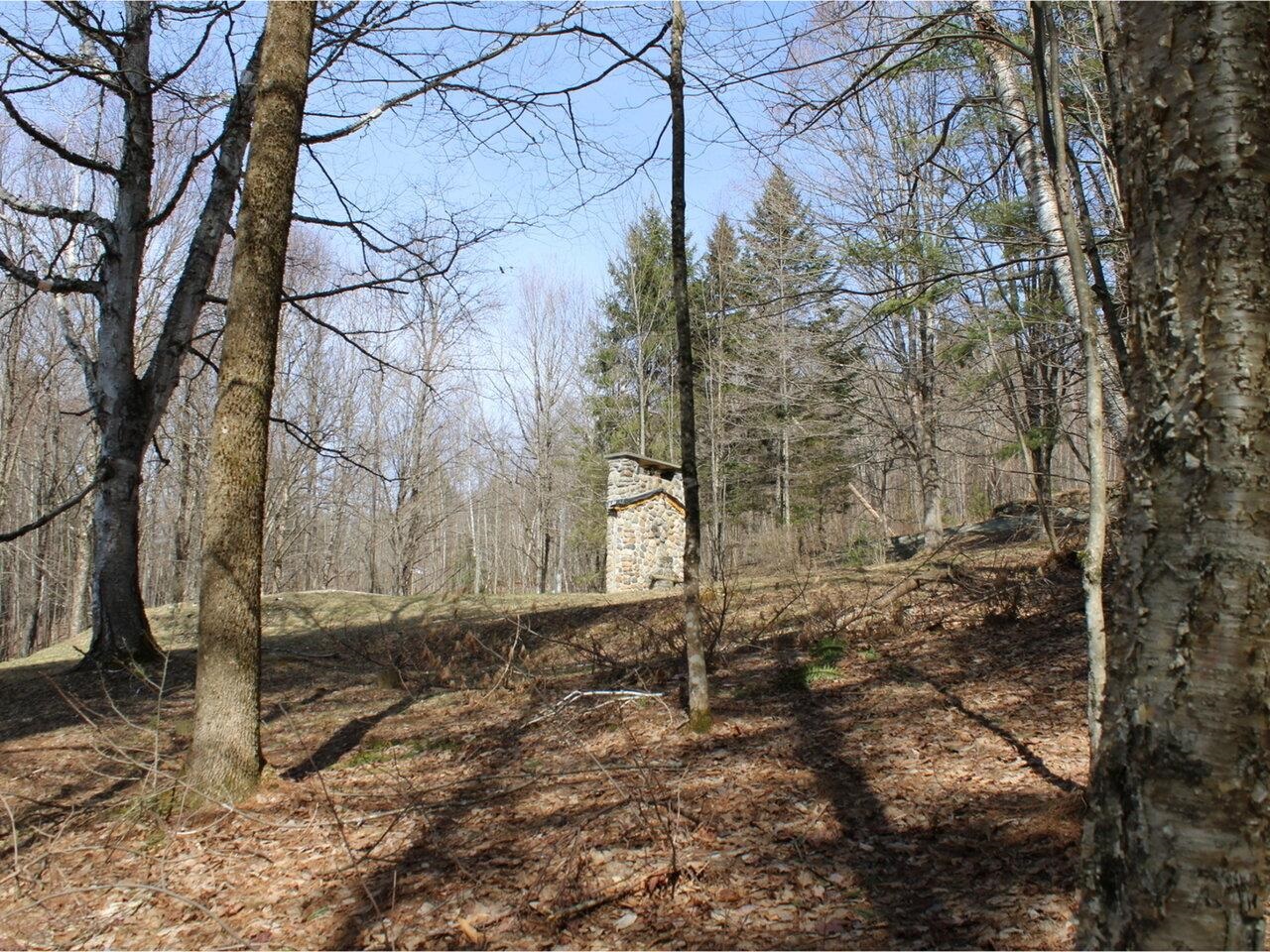 1953 Dowsville Road