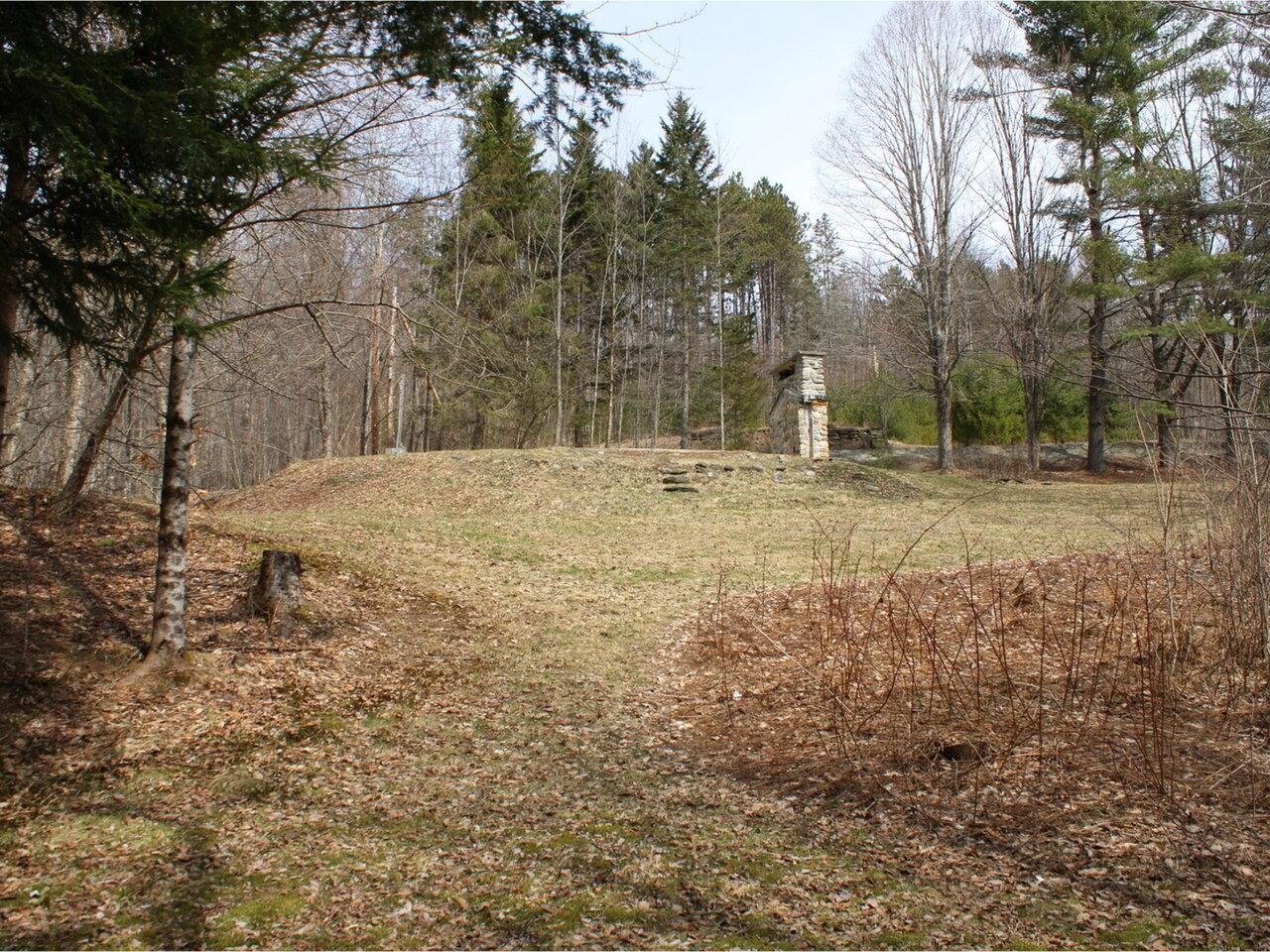 View from South Woods