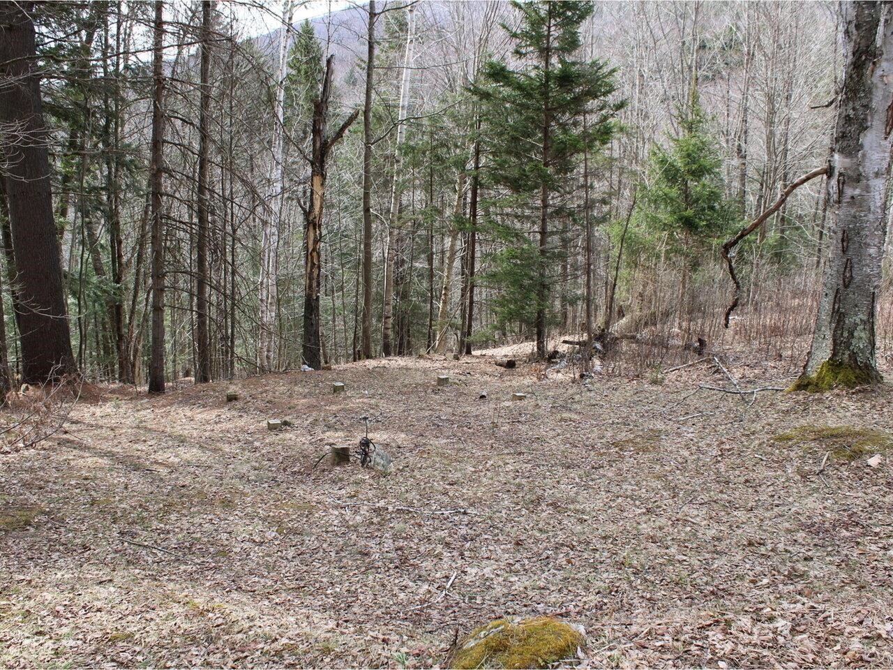 Past Site for Shed w/ Power