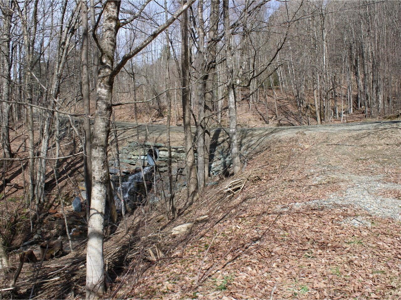 View from Driveway to Road