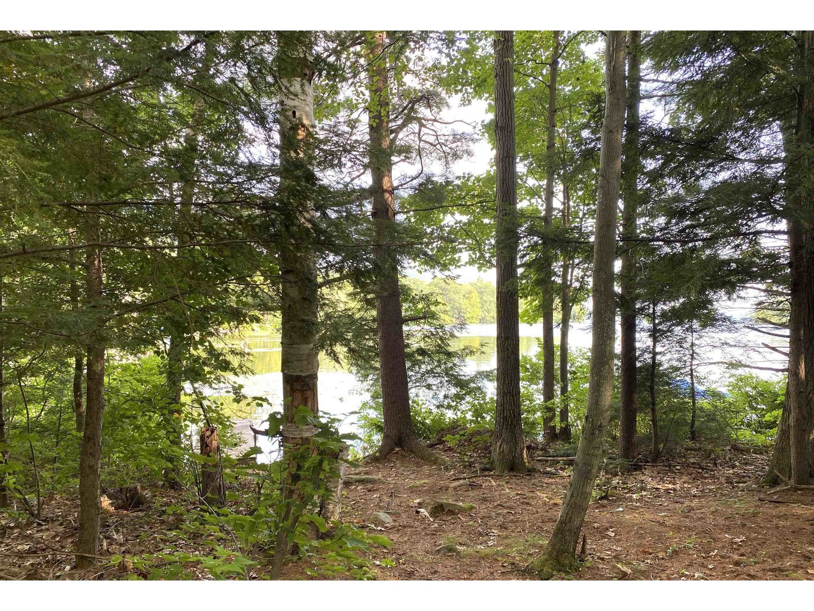 Along Lake Dunmore Shoreline