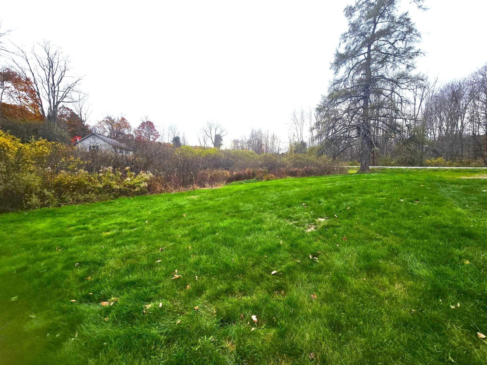 196 Granger Hollow Road