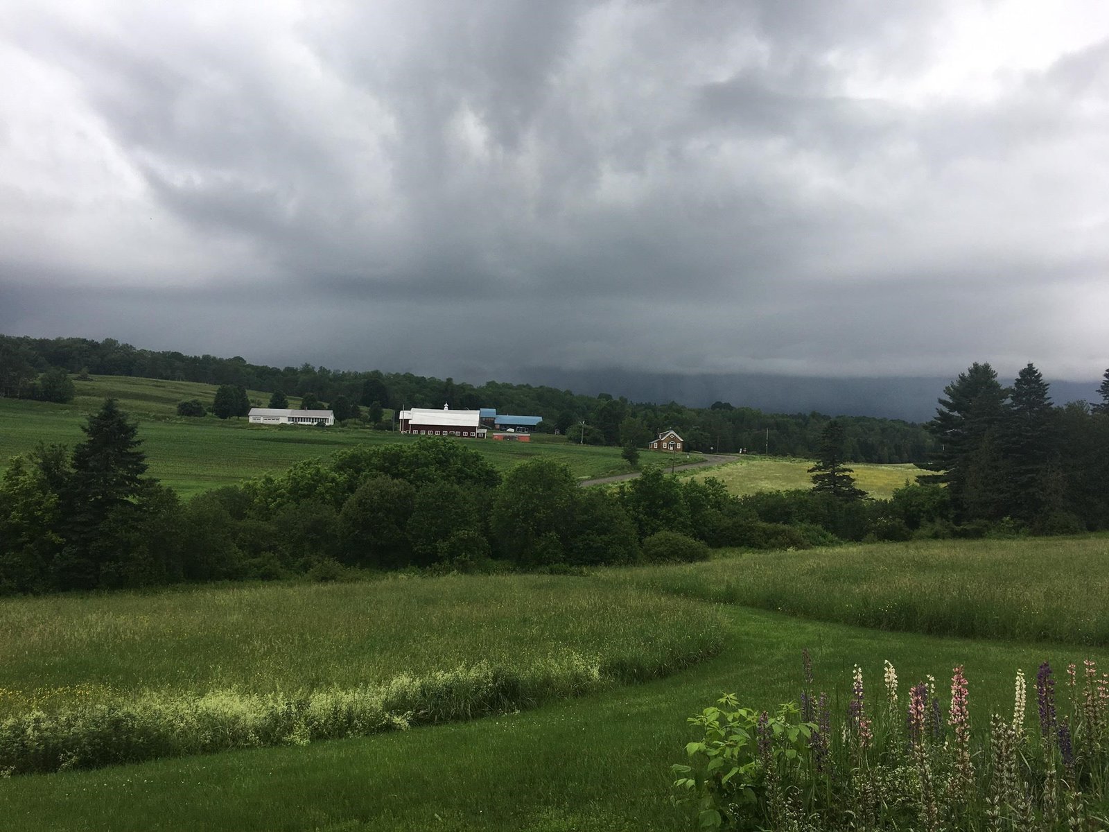 199 Hardwick Farms Road