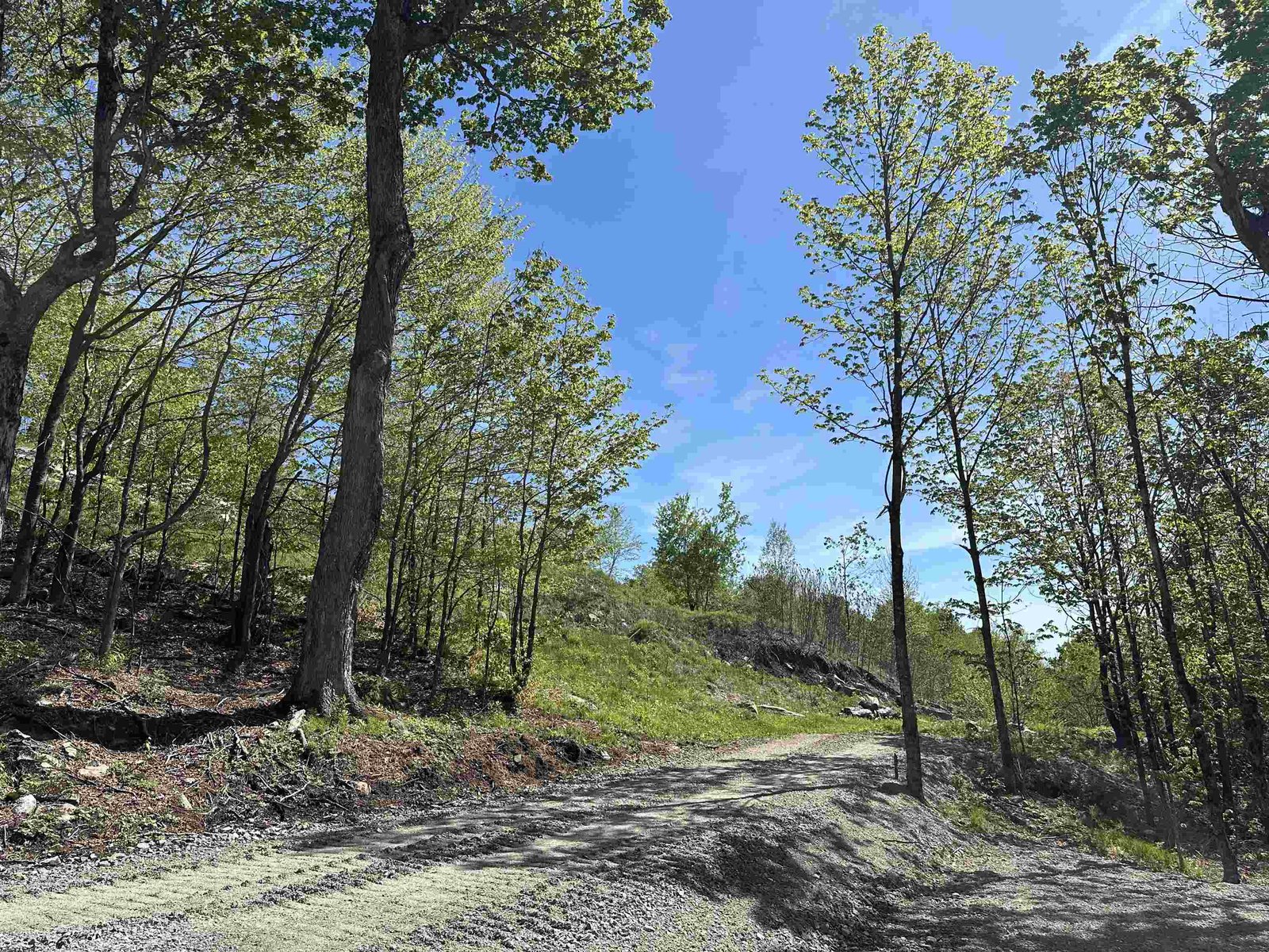 1992 Andover Ridge Road