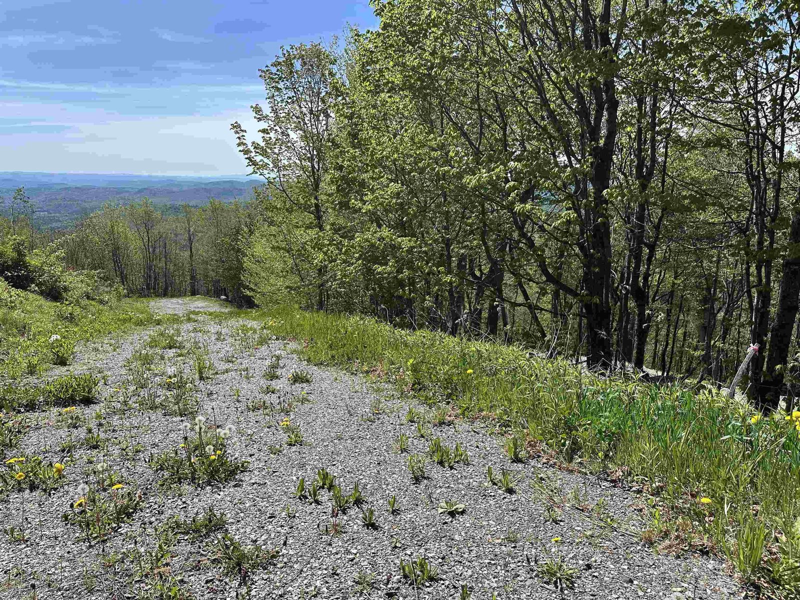 1992 Andover Ridge Road