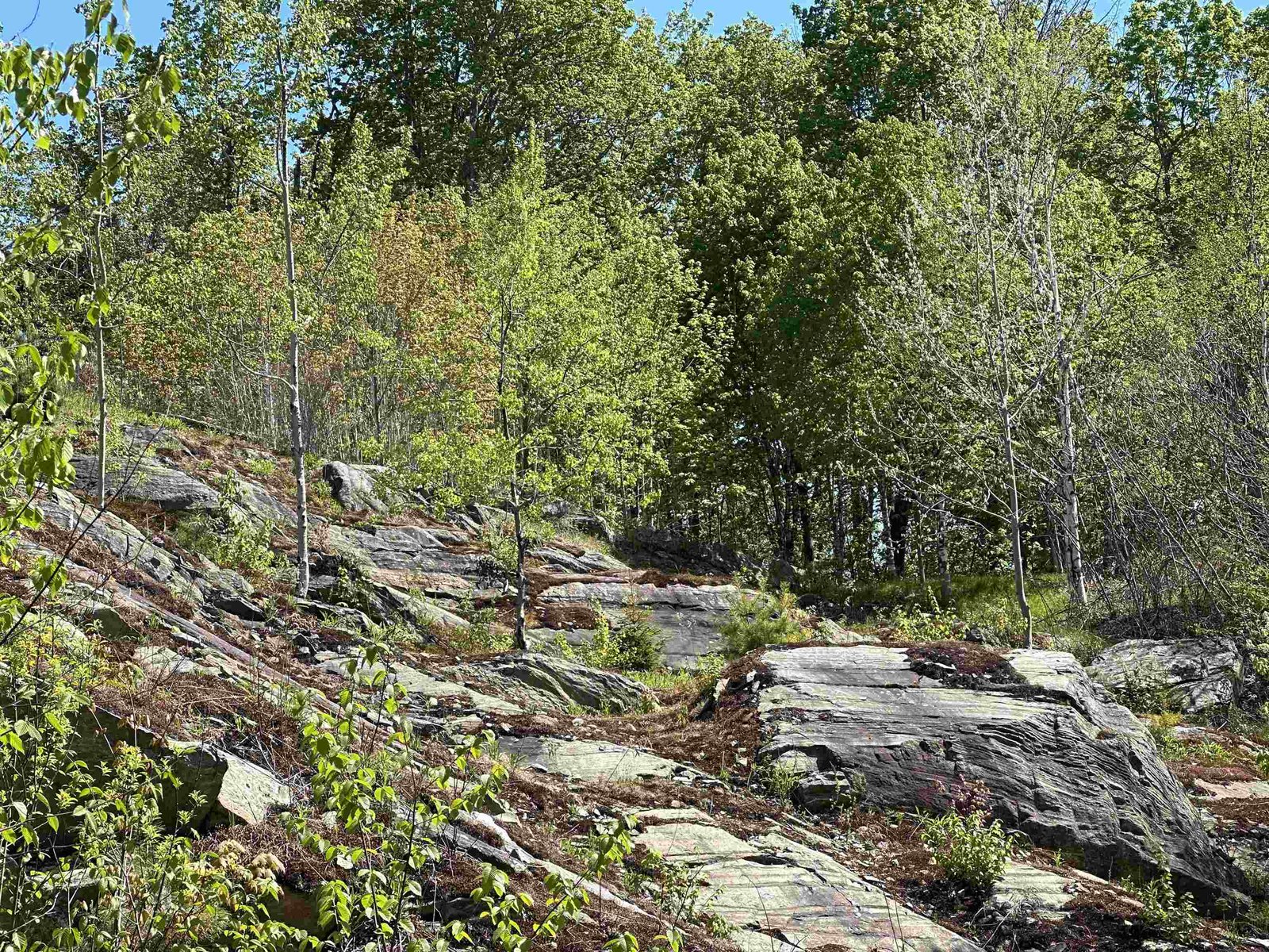 1992 Andover Ridge Road