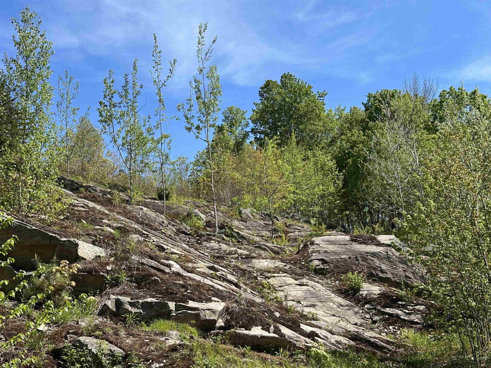 1992 Andover Ridge Road