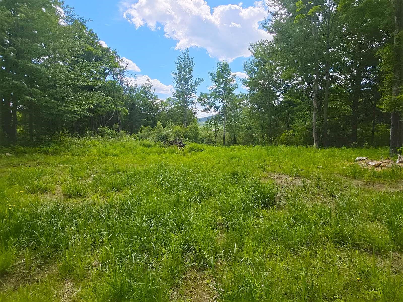 1A Lakeview Lane
