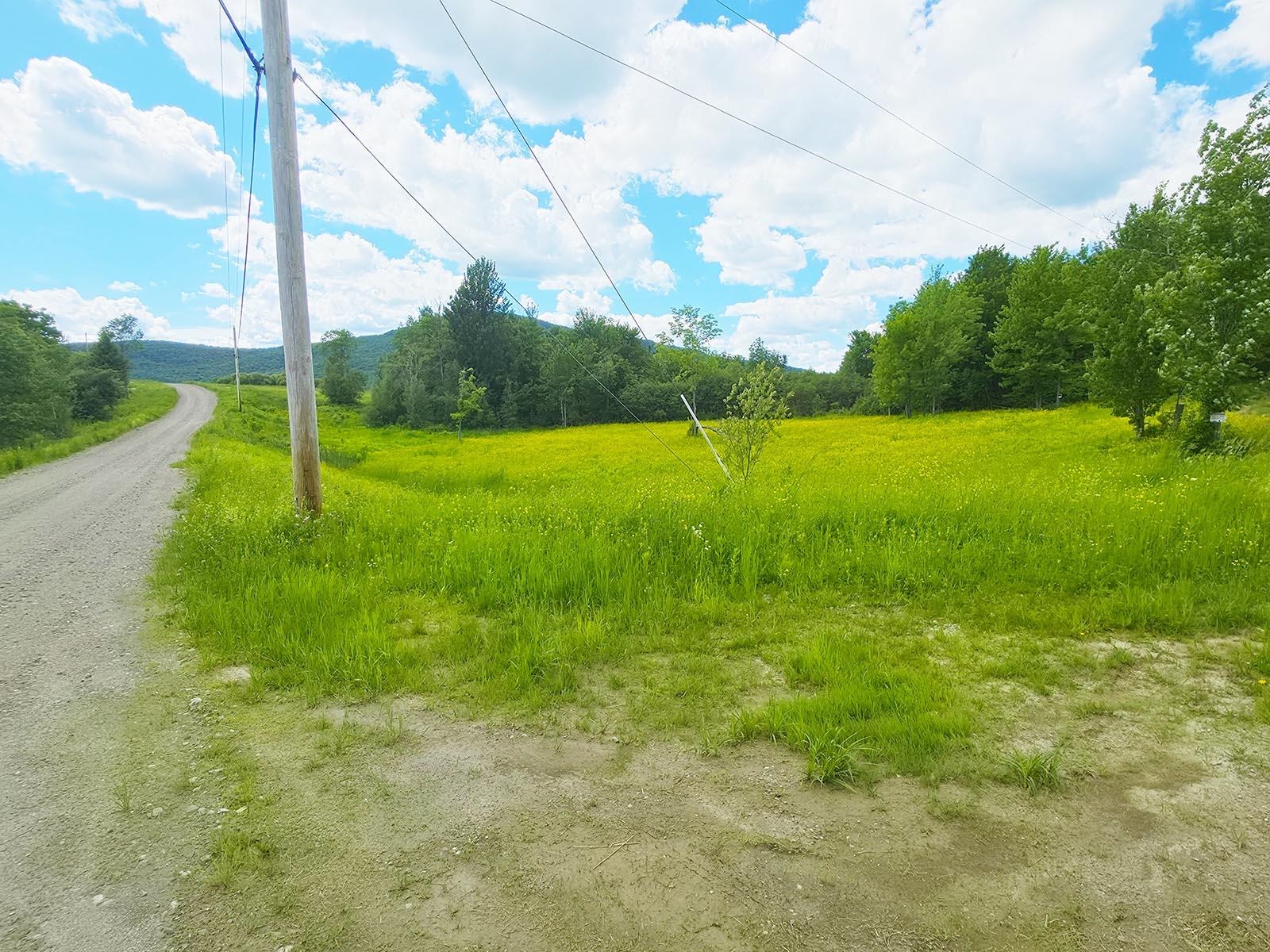 Road View