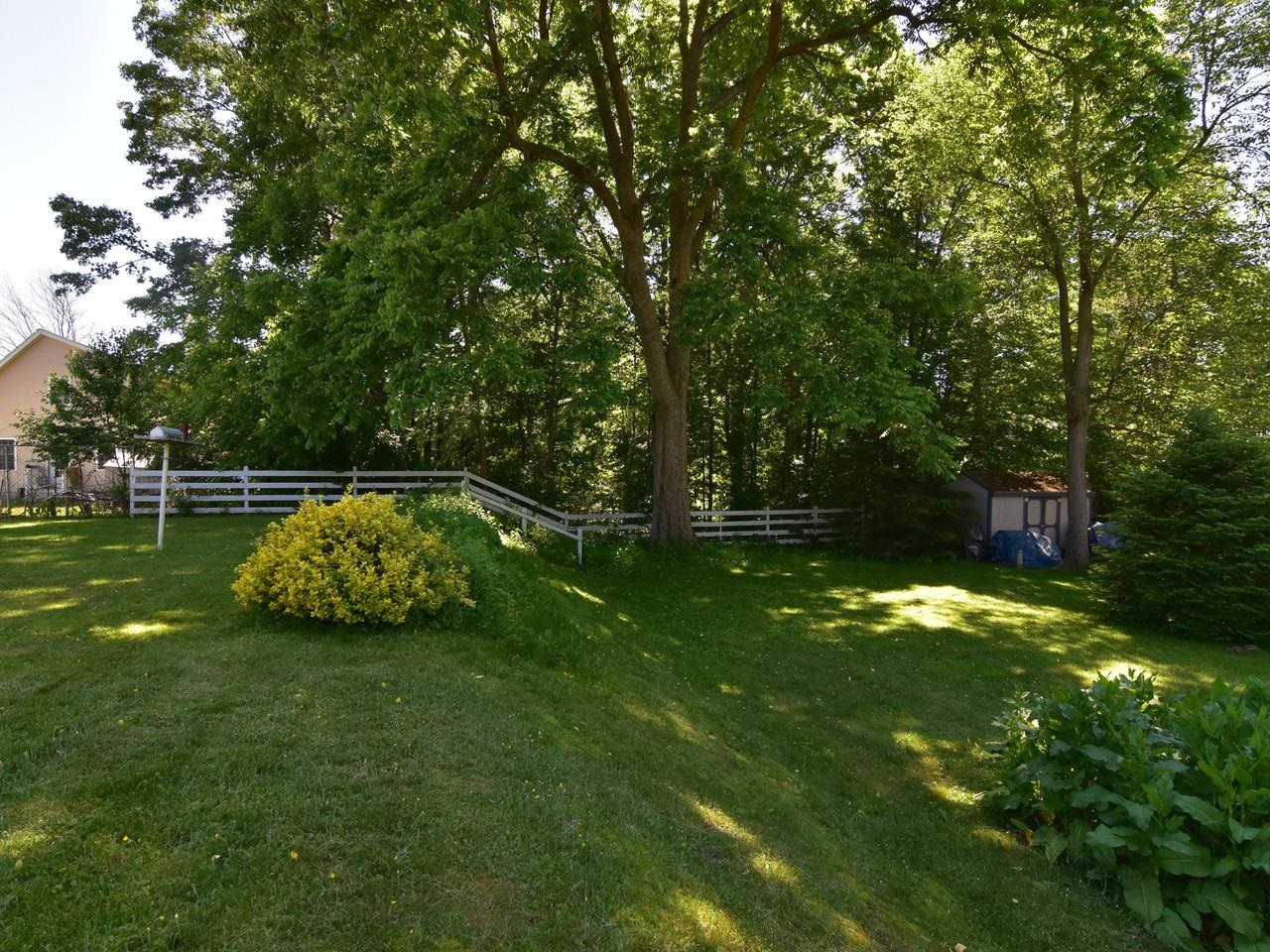 Backyard view