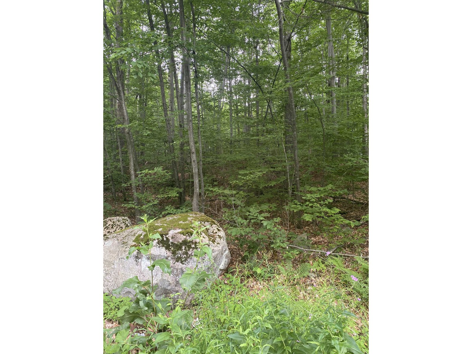 3.5 Acre BuildingLot in Middlebury