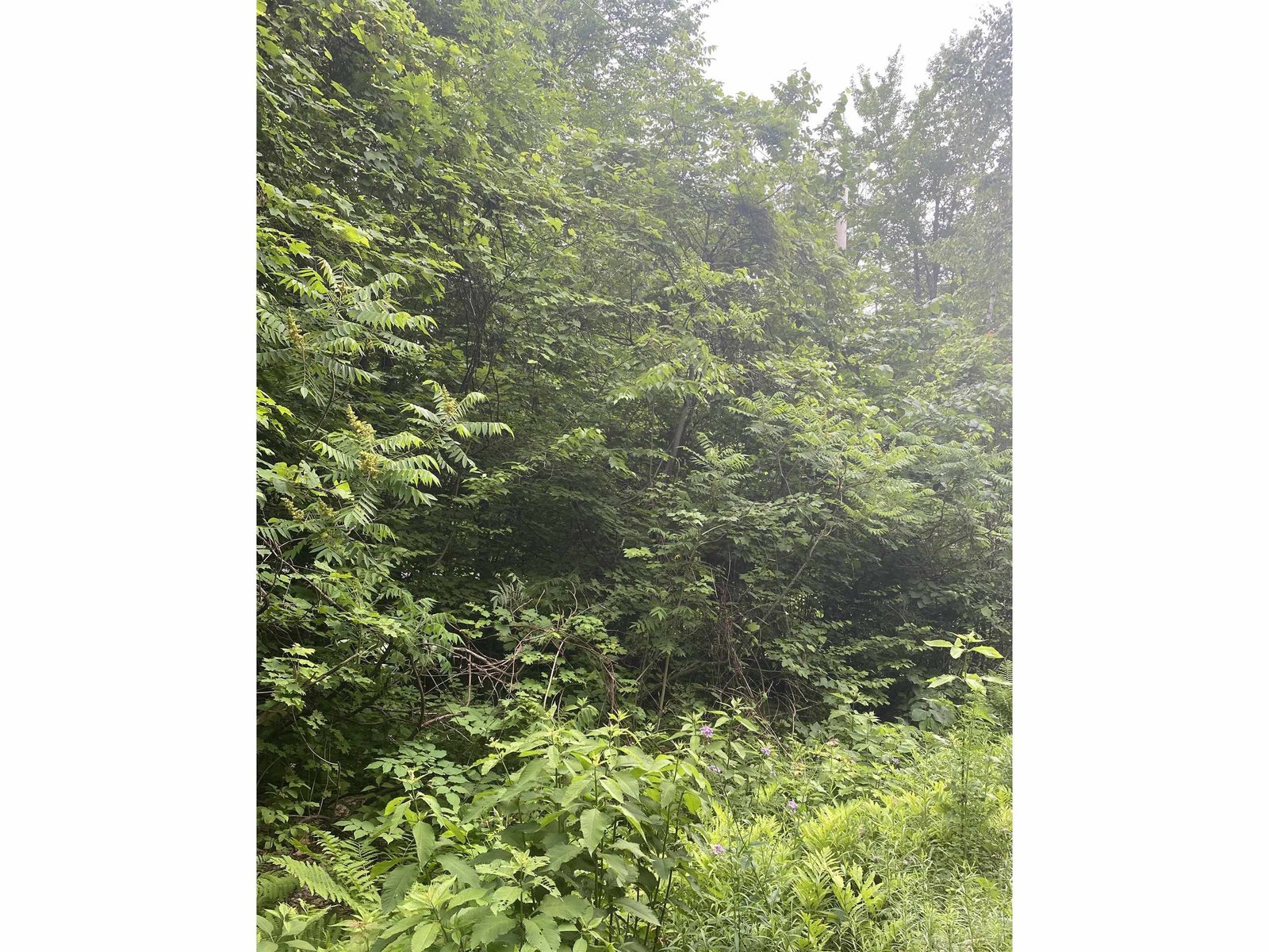 5 Bedroom WW Permit