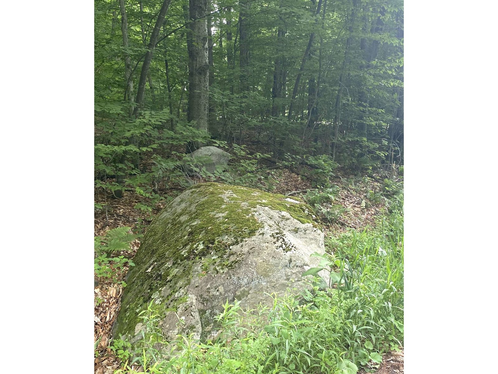 Natural Setting