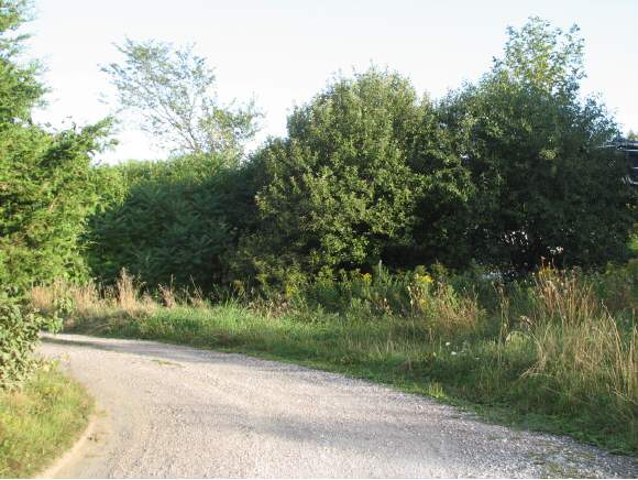 20 Kayak Road