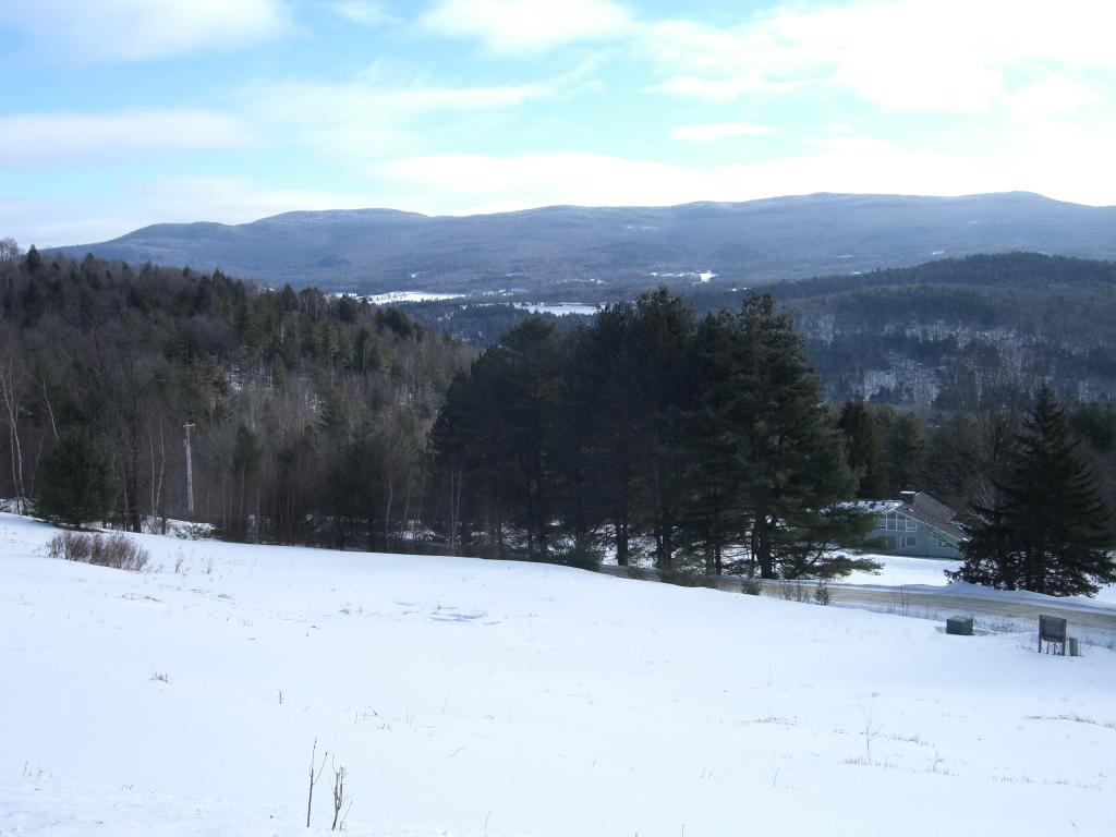20 Morningstar Drive