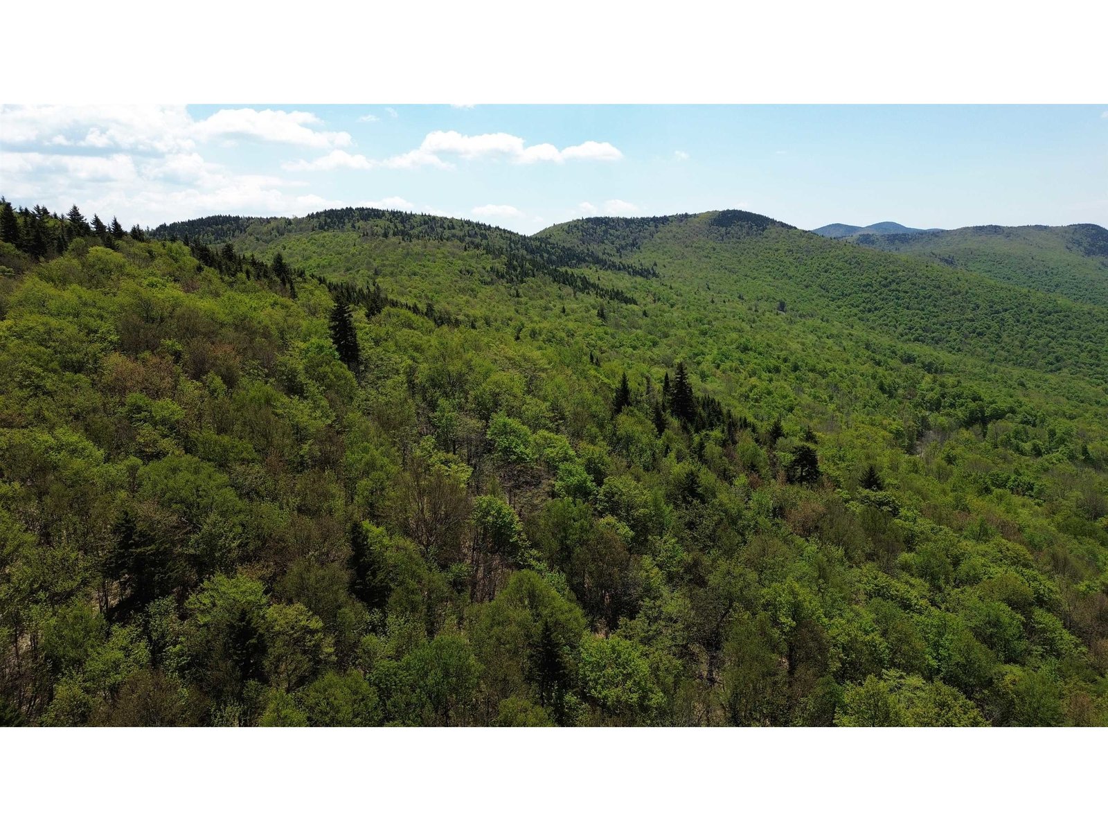 2016 Roxbury Mountain Road