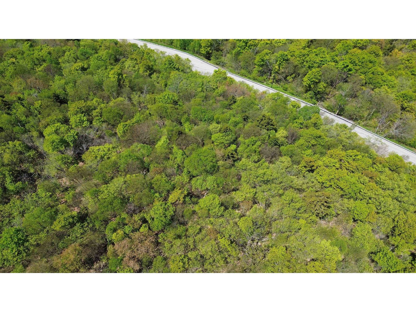 2016 Roxbury Mountain Road