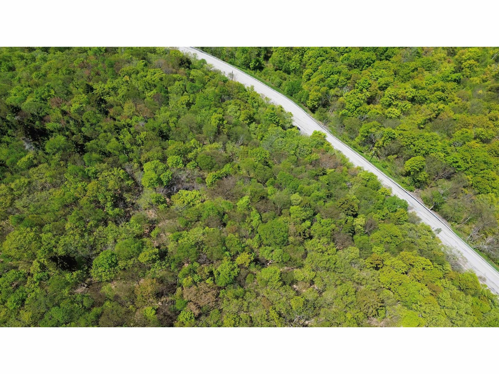 2016 Roxbury Mountain Road